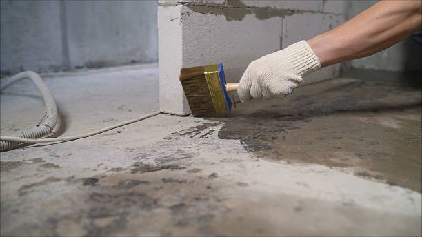 24/7 Emergency Exterior Waterproofing experts in Williamsburg, VA
